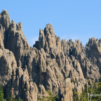24 Hours in Custer State Park