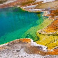 The Colors of Yellowstone National Park